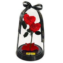 Dupla de Coração de Rosas Encantadas Vermelhas