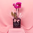 Orquídea Phalaenopsis Pink no Box Eu Te Amo