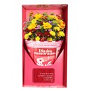 Buquê Mix de Flores no Box Dia dos Namorados
