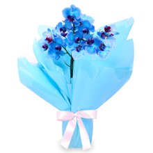 Mini Orquídea Rara Azul Virtuosa