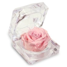 Diamante de Mini Rosa Encantada Cor de Rosa