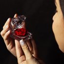 Diamante de Mini Rosa Encantada Vermelha