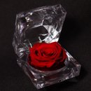 Diamante de Mini Rosa Encantada Vermelha