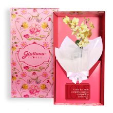 Mini Orquídea Rara Amarela Virtuosa no Box Romântico