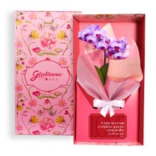 Mini Orquídea Rara Violeta Virtuosa no Box Romântico