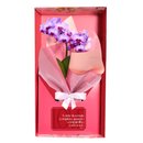 Mini Orquídea Rara Violeta Virtuosa no Box Namorados