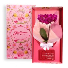 Mini Orquídea Rara Lilás Virtuosa no Box Romântico
