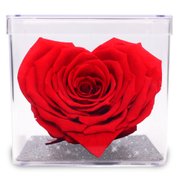 Mini Box com Coração de Rosa Encantada Vermelha