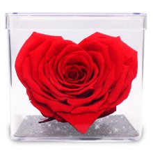 Mini Box com Coração de Rosa Encantada Vermelha