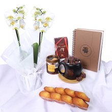 Kit Manhã com Café com Deus Pai