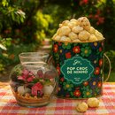 Terrário Mini Mundo e Pipoca Giuliana Flores