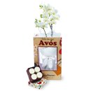 Mini Rara Branca e Vela Aromática Giuliana Flores para Avós