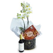 Kit Mini Rara Branca e Vinho Violette e Bombom Giuliana Flores