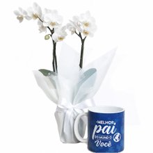 Mini Orquídea Rara Branca na Caneca