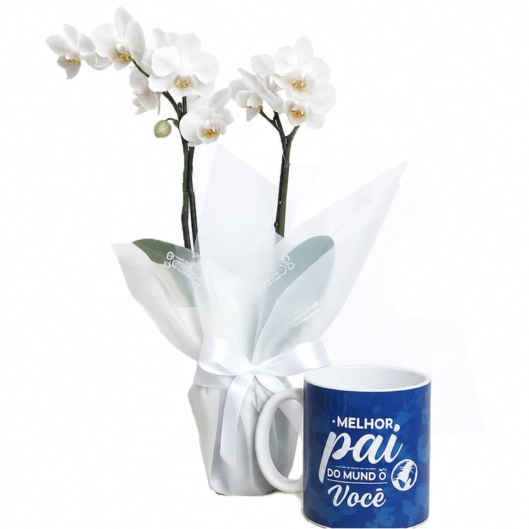 Mini Orquídea Rara Branca na Caneca