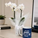 Mini Orquídea Rara Branca na Caneca