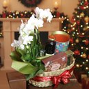 Cesta com Orquídea Branca e Bombom e Pipoca Giuliana Flores
