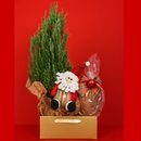 Cesta Natal de Ouro com Pinheirinho e Panettone