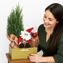 Cesta Natal de Ouro com Pinheirinho e Panettone