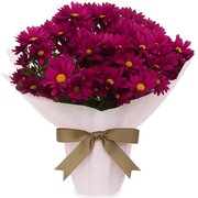 Mini Vaso de Margaridinhas Pink