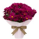 Mini Vaso de Margaridinhas Pink