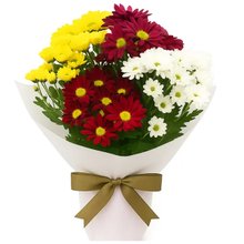 Mini Vaso de Margaridinhas Coloridas