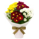 Mini Vaso de Margaridinhas Coloridas