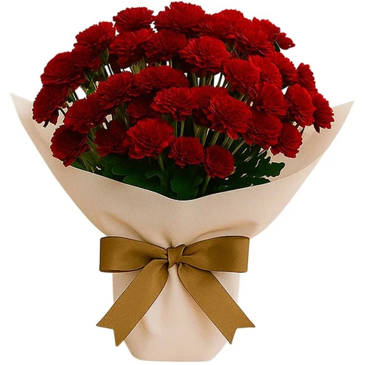 Pinóquio Plantado PomPom Vermelho