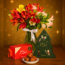 Admiração de Astromélias Coloridas e Biscoitê