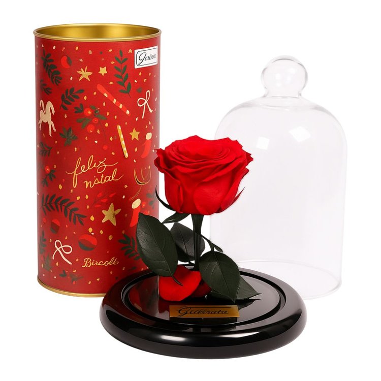 Mini Rosa Encantada Vermelha e Pedaccio Biscoitê