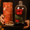 Mini Rosa Encantada Vermelha e Pedaccio Biscoitê