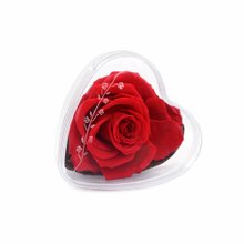 Mini Coração Encantado