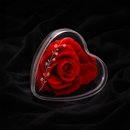 Mini Coração Encantado