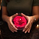 Carisma de Rosa Encantada Pink