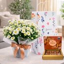 Margaridinhas Brancas e Bombom Giuliana Flores na Bag Florescer