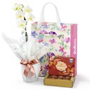 Mini Rara Branca e Bombom Giuliana Flores na Bag Florescer