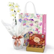 Mini Rara Branca e Bombom Giuliana Flores na Bag Florescer