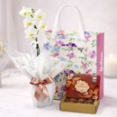 Mini Rara Branca e Bombom Giuliana Flores na Bag Florescer