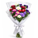 Buquê de Rainha Margarida Colorido