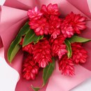 Buquê de 12 Alpinias Purpuratas Vermelhas