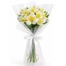 Buquê de Astromélias Brancas - Serenidade