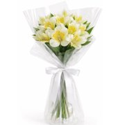 Buquê de Astromélias Brancas - Serenidade