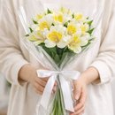 Buquê de Astromélias Brancas - Serenidade