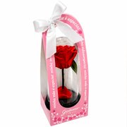 A Bela Rosa Encantada Vermelha - Mãe Laço de Amor