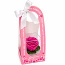 Mini Box de Rosa Encantada Pink - Mãe Laço de Amor