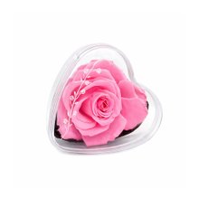 Mini Coração Encantado Cor de Rosa