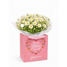 Margaridinhas Plantadas Brancas - Mãe Você é Especial