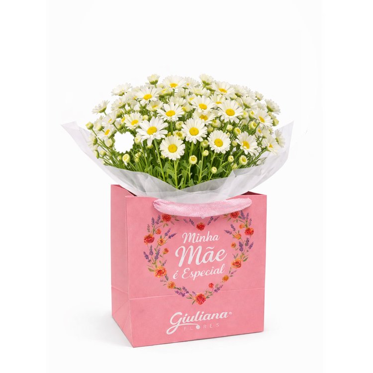 Margaridinhas Plantadas Brancas - Minha Mãe é Especial