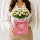 Margaridinhas Plantadas Brancas - Minha Mãe é Especial