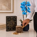 Orquídea Phalaenopsis Azul Decore e Biscoitê